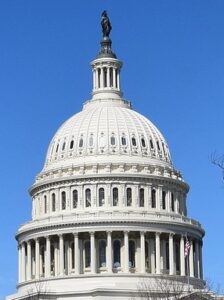 20 Advocacy Wins in 2020